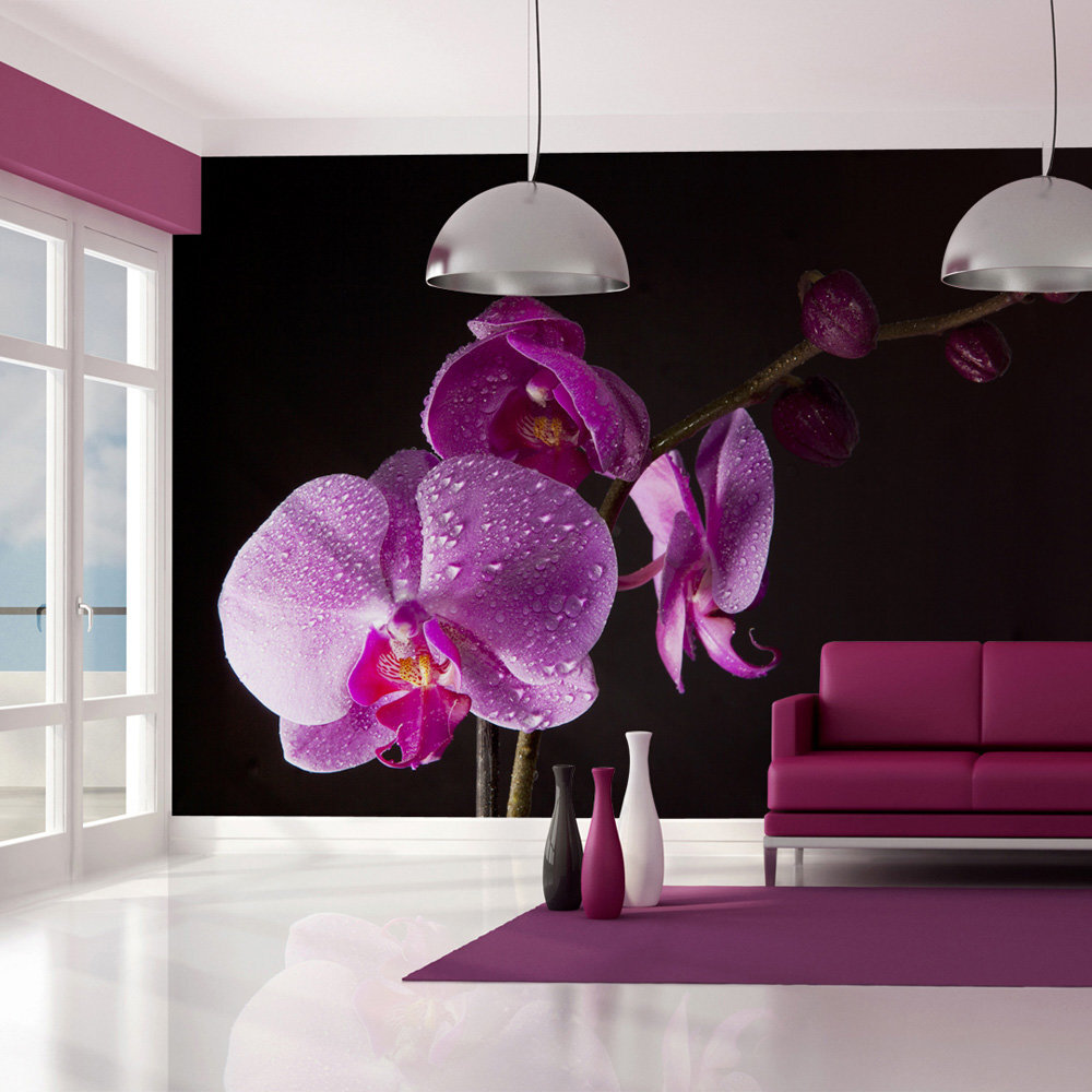 Fototapetas - stylish orchis kaina ir informacija | Fototapetai | pigu.lt