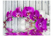 Fototapetas - Violet orchids with water reflexion kaina ir informacija | Fototapetai | pigu.lt