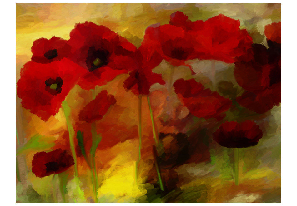 Fototapetas - Poppies in warm tone цена и информация | Fototapetai | pigu.lt