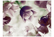 Fototapetas - Heavenly tulips kaina ir informacija | Fototapetai | pigu.lt