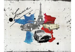 Fototapetas - Admirer of cars (France) kaina ir informacija | Fototapetai | pigu.lt