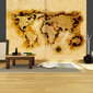 Fototapetas - Gold-diggers' map of the World цена и информация | Fototapetai | pigu.lt