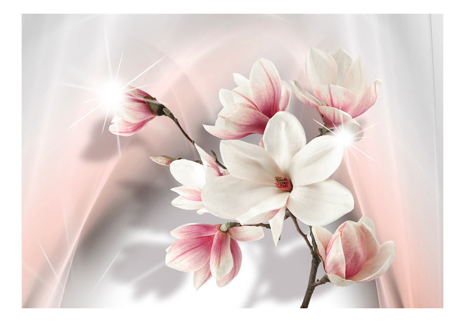 Fototapetas - White magnolias kaina ir informacija | Fototapetai | pigu.lt