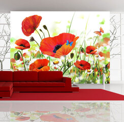 Fototapetas - Country poppies цена и информация | Фотообои | pigu.lt