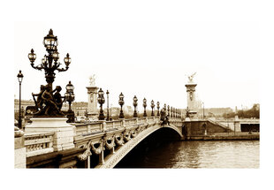 Fototapetas - Alexander III Bridge, Paris kaina ir informacija | Fototapetai | pigu.lt