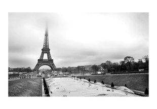 Fototapetas - Paris: Eiffel Tower kaina ir informacija | Fototapetai | pigu.lt