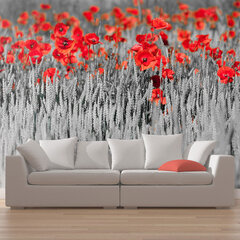 Fototapetas - Red poppies on black and white background kaina ir informacija | Fototapetai | pigu.lt