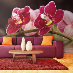 Fototapetas - Beautiful orchid flowers on the water цена и информация | Фотообои | pigu.lt