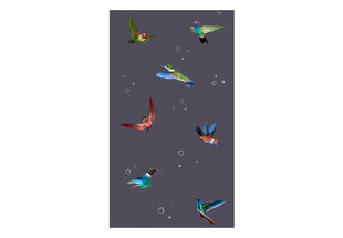Fototapetas - Flight of hummingbirds kaina ir informacija | Fototapetai | pigu.lt