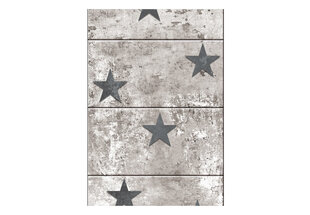 Fototapetas - Concrete Stars kaina ir informacija | Fototapetai | pigu.lt