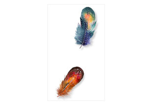 Fototapetas - Colorful Feathers kaina ir informacija | Fototapetai | pigu.lt