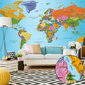 Fototapetas XXL - World Map: Colourful Geography II kaina ir informacija | Fototapetai | pigu.lt