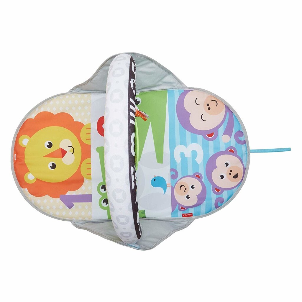 Lavinamasis kilimėlis Fisher Price "Supakuok ir neškis" kaina ir informacija | Lavinimo kilimėliai | pigu.lt