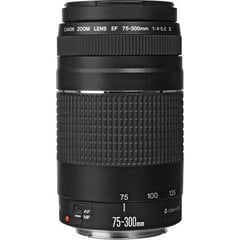 Canon EF 75-300мм f/4-5.6 DC III объектив цена и информация | Объективы | pigu.lt