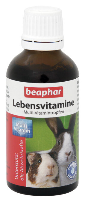 Beaphar Lebens vitaminai graužikams, 50 ml цена и информация | Graužikų ir triušių maistas | pigu.lt