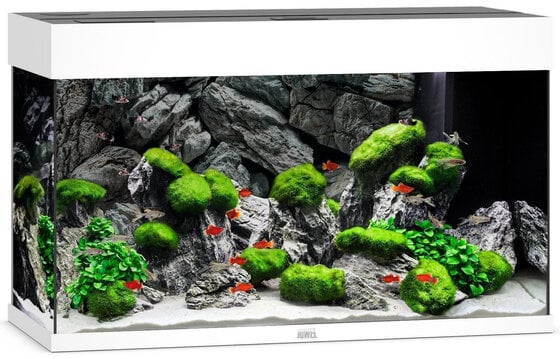 Akvariumas LED Rio 125 L, baltas, 81x36x50cm kaina ir informacija | Akvariumai ir jų įranga | pigu.lt