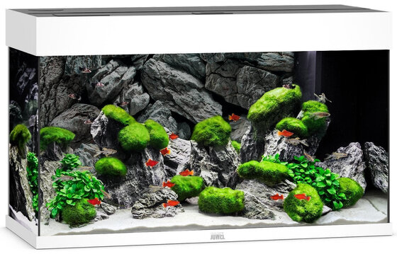 Juwel Aquarium Rio 125 LED - 81x36x50cm