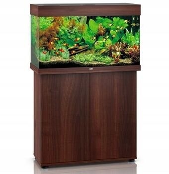 Akvariumas Juwel LED Rio, 125L, tamsus medis kaina ir informacija | Akvariumai ir jų įranga | pigu.lt