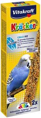 Лакомства с кальцием для волнистых попугаев Vitakraft Kracker, 2 шт. цена и информация | Корм для птиц | pigu.lt