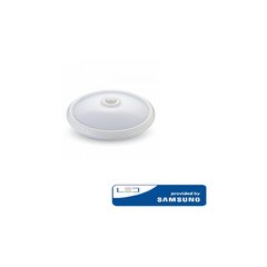 LED šviestuvas su judesio davikliu Samsung 11377 kaina ir informacija | Lubiniai šviestuvai | pigu.lt