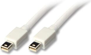 Кабель Lindy DisplayPort Mini - DisplayPort Mini 1,5 м цена и информация | Кабели и провода | pigu.lt