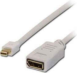 Кабель Lindy DisplayPort Mini - DisplayPort 1,5 м, белый цена и информация | Адаптеры, USB-разветвители | pigu.lt
