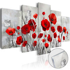 Akrilo stiklo paveikslas - Scarlet Cloud [Glass] kaina ir informacija | Reprodukcijos, paveikslai | pigu.lt