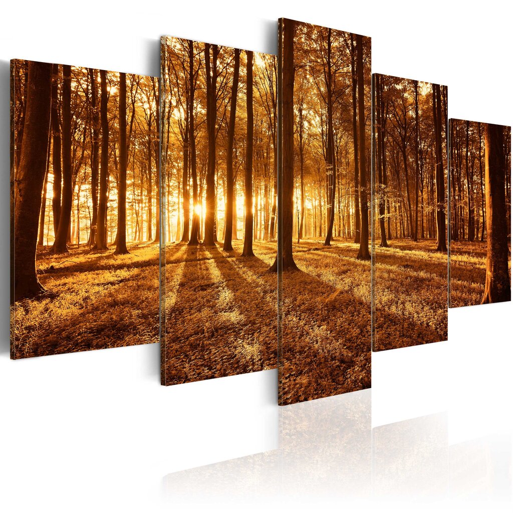 Paveikslas - Amber forest kaina ir informacija | Reprodukcijos, paveikslai | pigu.lt