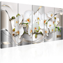 Paveikslas - Blooming Orchids kaina ir informacija | Reprodukcijos, paveikslai | pigu.lt