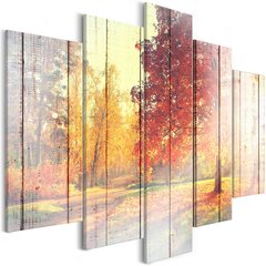 Paveikslas - Autumn Sun (5 Parts) Wide kaina ir informacija | Reprodukcijos, paveikslai | pigu.lt