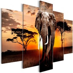 Paveikslas - Wandering Elephant (5 Parts) Wide kaina ir informacija | Reprodukcijos, paveikslai | pigu.lt