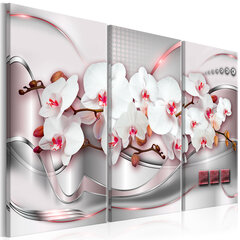 Paveikslas - Wonderful Orchids I kaina ir informacija | Reprodukcijos, paveikslai | pigu.lt