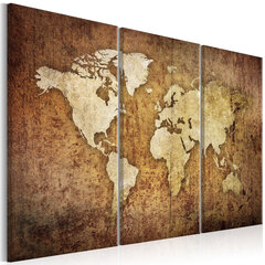 Paveikslas - World Map: Brown Texture цена и информация | Репродукции, картины | pigu.lt