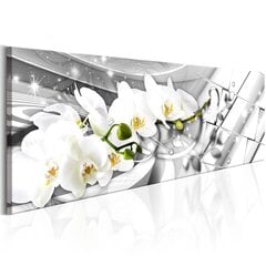 Paveikslas - Twisted Orchids kaina ir informacija | Reprodukcijos, paveikslai | pigu.lt