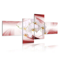 Paveikslas - An orchid in pink shade kaina ir informacija | Reprodukcijos, paveikslai | pigu.lt
