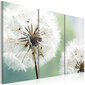 Paveikslas - Fluffy dandelions kaina ir informacija | Reprodukcijos, paveikslai | pigu.lt