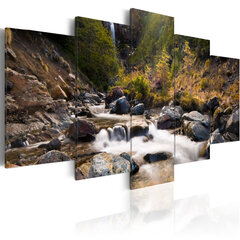 Paveikslas - A waterfall in the middle of wild nature kaina ir informacija | Reprodukcijos, paveikslai | pigu.lt