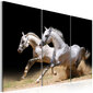 Paveikslas - Horses- power and velocity kaina ir informacija | Reprodukcijos, paveikslai | pigu.lt