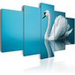 Paveikslas - A swan in blue kaina ir informacija | Reprodukcijos, paveikslai | pigu.lt