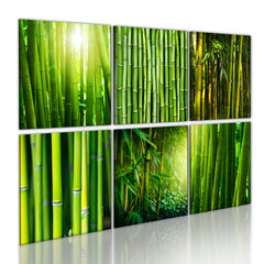 Paveikslas - Bamboo has many faces цена и информация | Репродукции, картины | pigu.lt