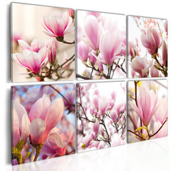 Paveikslas - Southern magnolias цена и информация | Репродукции, картины | pigu.lt