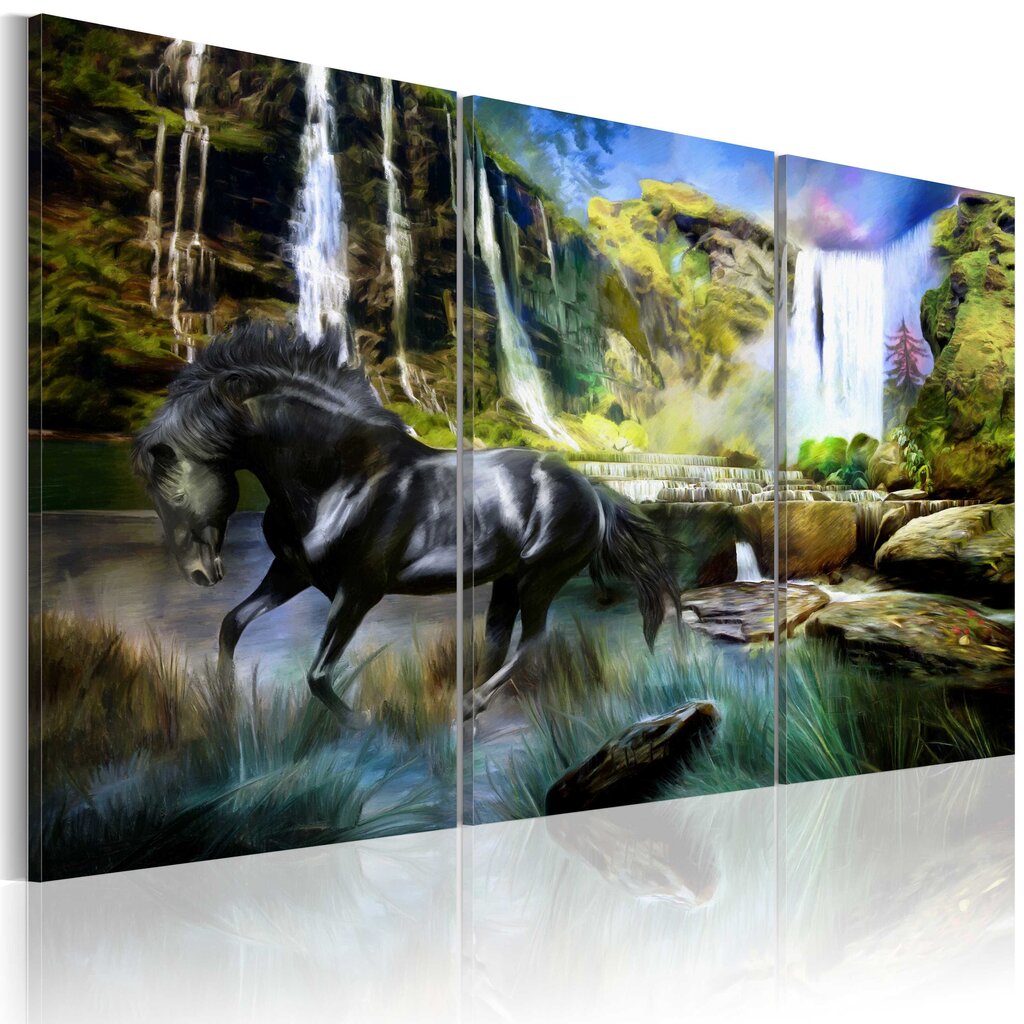 Paveikslas - Horse on the sky-blue waterfall background цена и информация | Reprodukcijos, paveikslai | pigu.lt