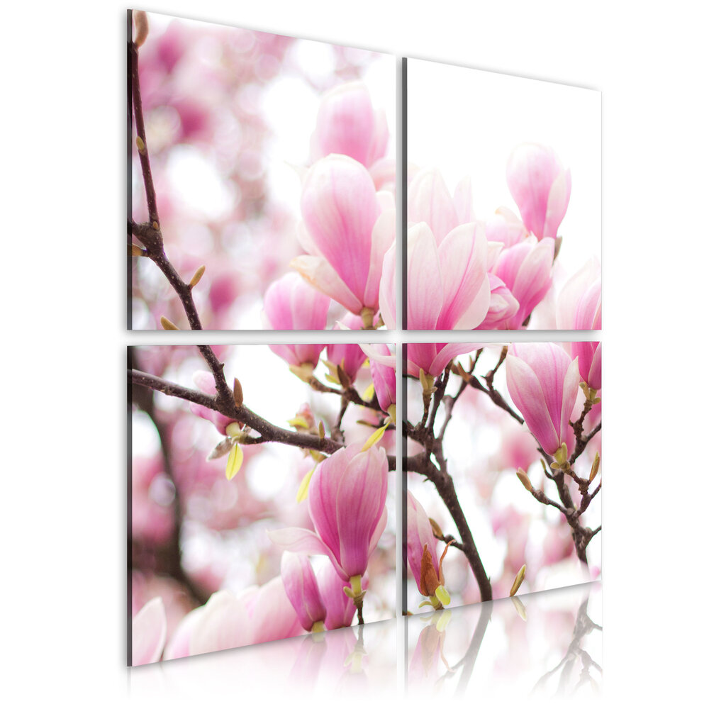 Paveikslas - Blooming magnolia tree kaina ir informacija | Reprodukcijos, paveikslai | pigu.lt