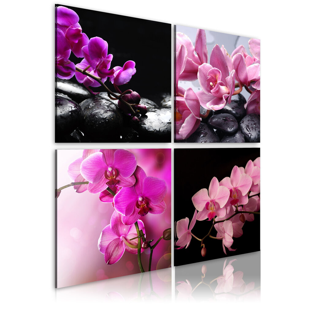Paveikslas - Orchids more beautiful than ever kaina ir informacija | Reprodukcijos, paveikslai | pigu.lt
