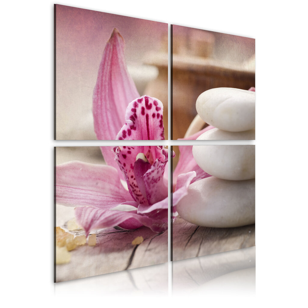 Paveikslas - Orchid and zen kaina ir informacija | Reprodukcijos, paveikslai | pigu.lt