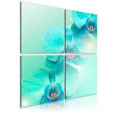 Paveikslas - Sky-blue orchids kaina ir informacija | Reprodukcijos, paveikslai | pigu.lt