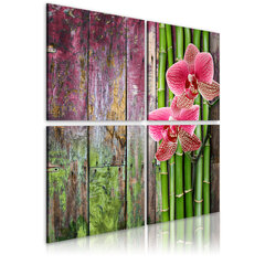 Paveikslas - Bamboo and orchid kaina ir informacija | Reprodukcijos, paveikslai | pigu.lt