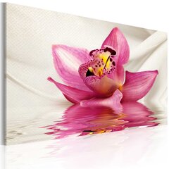 Paveikslas - Unusual orchid kaina ir informacija | Reprodukcijos, paveikslai | pigu.lt