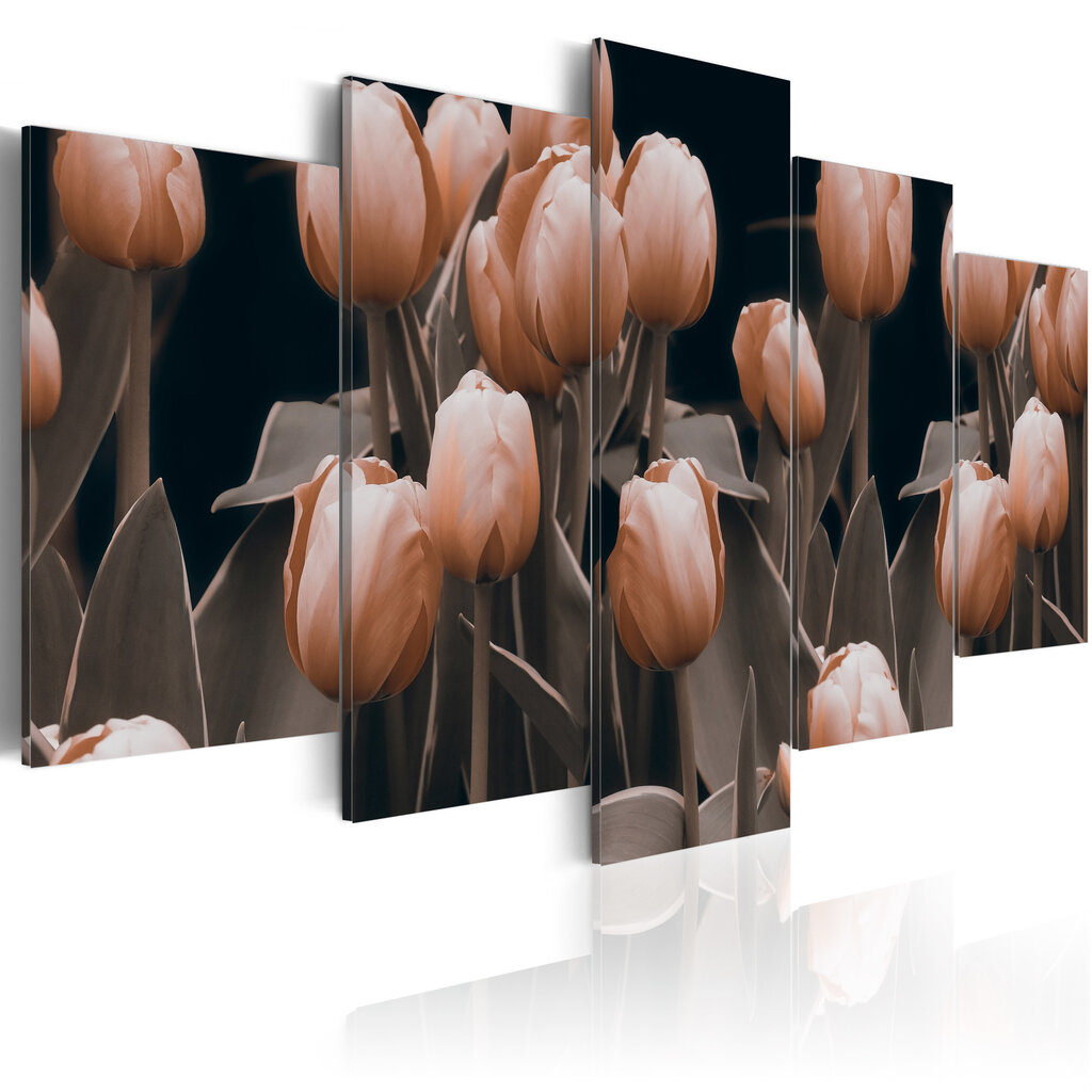 Paveikslas - Tulips in sepia цена и информация | Reprodukcijos, paveikslai | pigu.lt