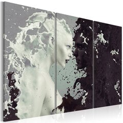 Paveikslas - Black or white? - triptych kaina ir informacija | Reprodukcijos, paveikslai | pigu.lt